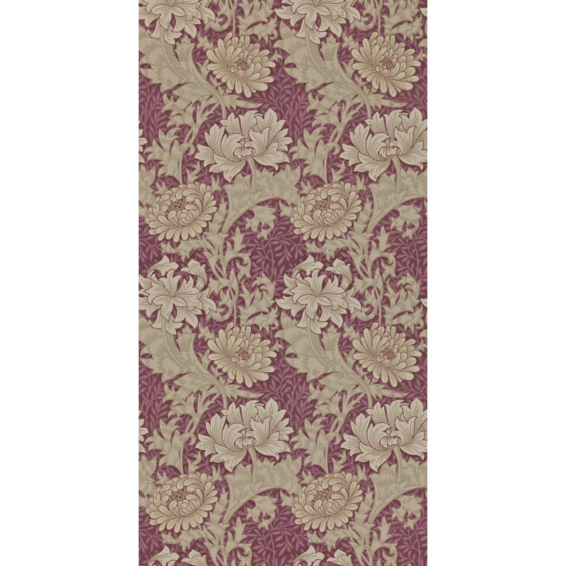 Chrysanthemum Wallpaper, Wine