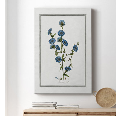 «Soft Botanical I», impression sur toile tendue