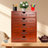 5-Drawer Wood Storage Drawer
