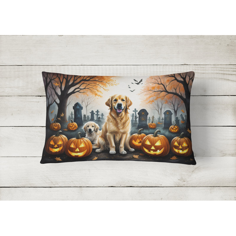 Other/No Pattern Outdoor Throw Pillow
