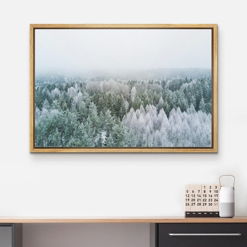 Blanc et vert pin brumeux, forêt, nature sauvage, photographie, art moderne, rustique, Cadre naturel flottant