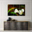 White Flower On A Brown Background - 3 Piece No Frame Print on Canvas