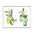 Cadre flottant blanc