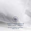 Snuggledown Luxurious Cotton Medium Support Pillow