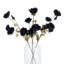 Anastasija Arrangement