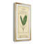 Linnaean Botany IV - Peinture sur toile encadrée-1355942969-1355942970