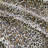 Baby Phat Printed Microfiber Sheet Set-128782094-128782097
