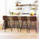 Rasnick Upholstered Counter Stool with Metal Frame