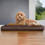 Coussin orthopédique Snuggle NAP Deluxe-1537794345-1577706407