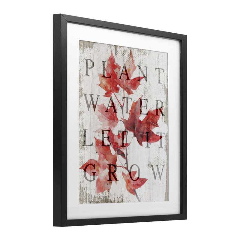 «Plant Water Let It Grow», reproduction encadrée sous verre, design par Lil 'Rue, Cadre noir minuit, H 16 po x l 13 po