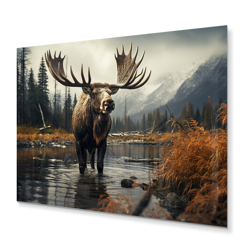 «Canada Majestic Moose I», reproduction d'art mural en métal, H 30 po x l 40 po x P 1 po