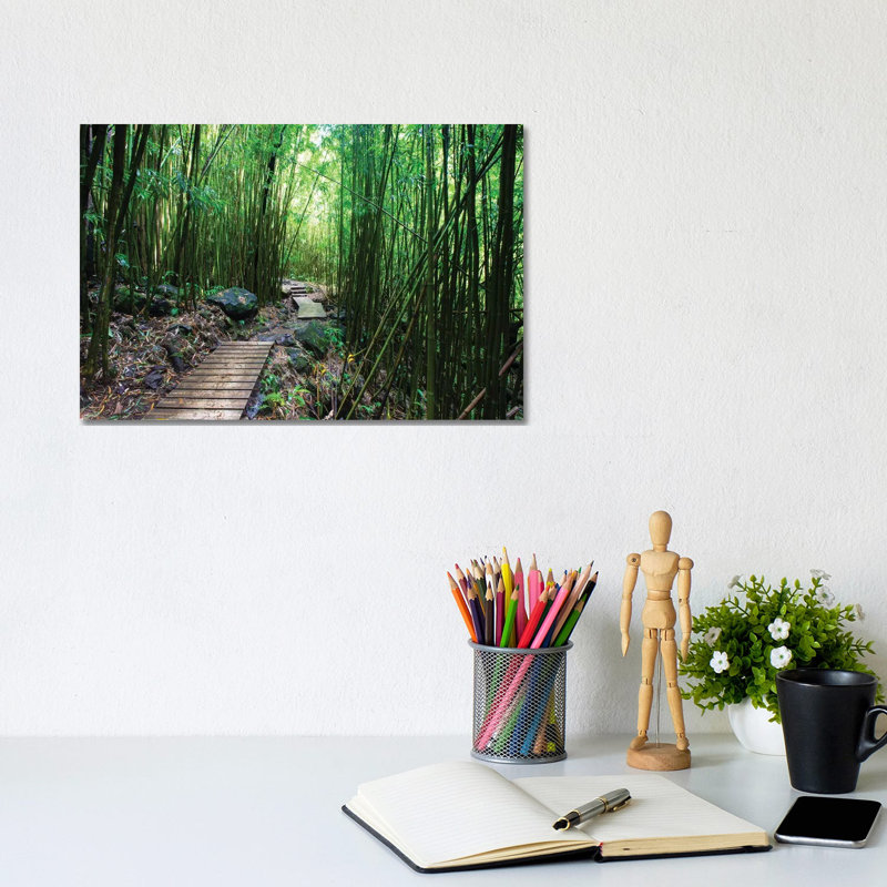 Boardwalk Through Bamboo, Pipiwai Trail, Hakeakala National Park, Kipahulu, Hana Road, Maui, Hawaii, USA IV - Wrapped Canvas Print