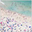 «Beach Love II», reproduction de photo sur toile-586292821-580598032