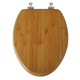 Elongated Toilet Seat and Lid