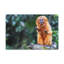 Wall Art on Canvas-1037127733