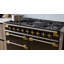 AGA Elise 48"W. 6 Cu.Ft. Freestanding Induction Convection Range with Antique Brass Trim-348013294-348013290