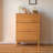 Japanese style flipped creative shoe cabinet