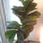 Photos des clients 1 de 2