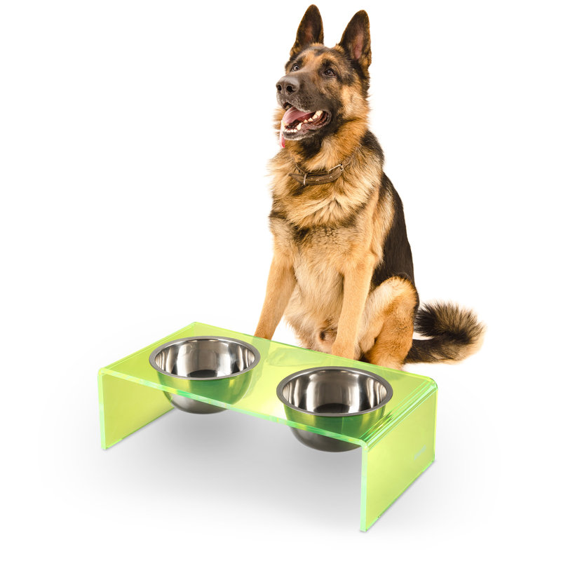 Mangeoire pour animaux Keaton, Moyen (6,76 tasses / 54 oz liquides), Vert / chrome