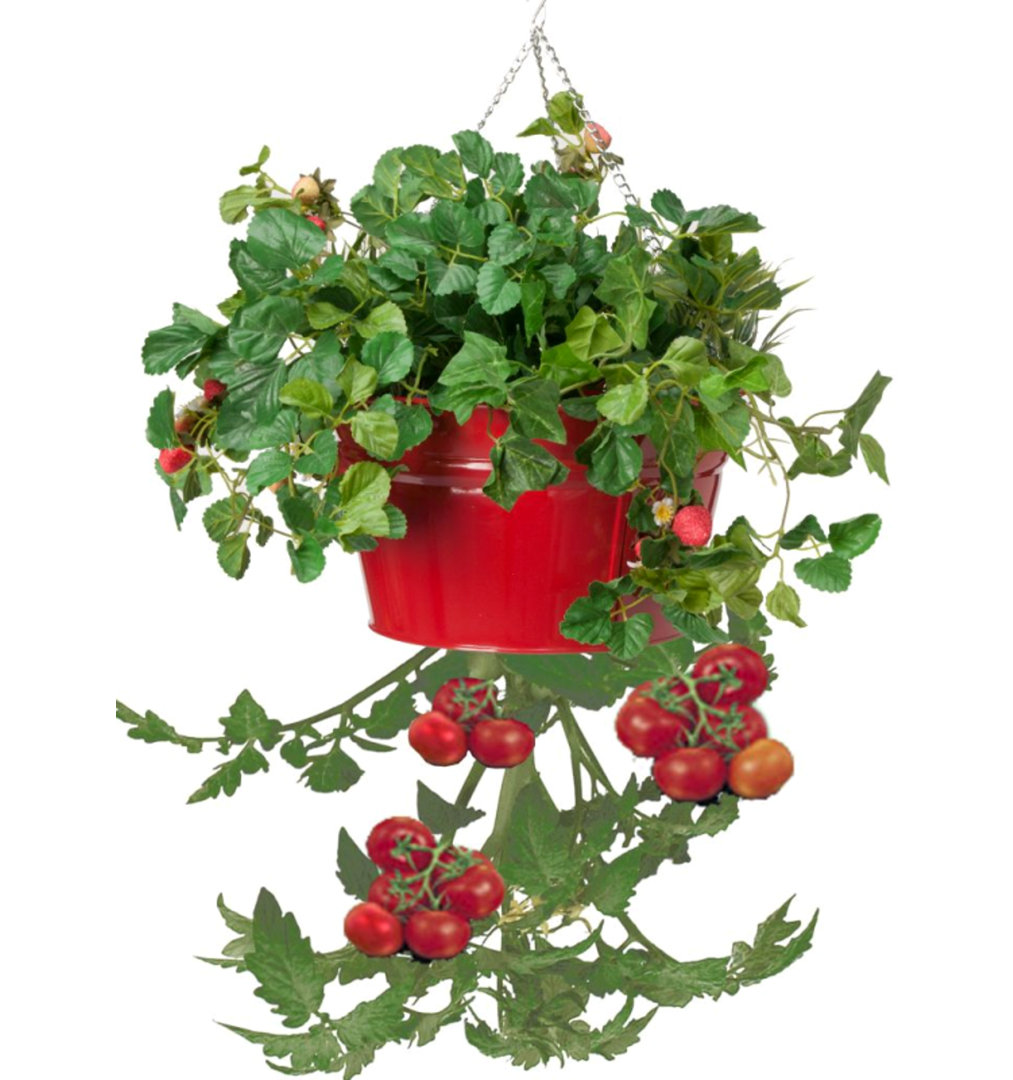 Kilding Metal Hanging Planter Winston Porter
