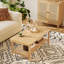 Blaurock Four Leg Coffee Table with Storage