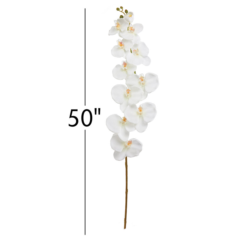 Tige d'orchidée Phalaenopsis Natural Touch, Blanc