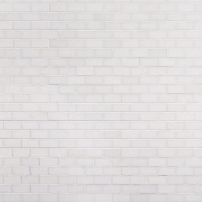 1 in. x 2 in. Polished Marble Tile