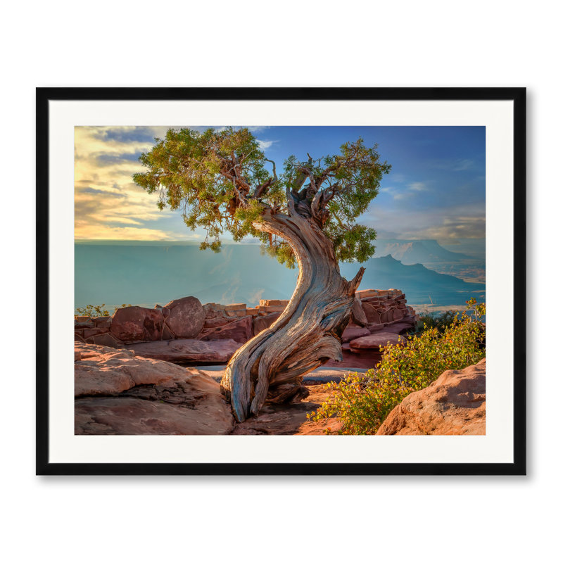 Deadhorse Point Print by Beth Sheridan, 25.2" H x 31.2" W, Black Framed Paper