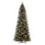Hadewig 10' H Lighted Artificial Fir Christmas Tree