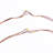 Outdoor 50 - Bulb 16.4'' Battery Powered LED Fairy String Light