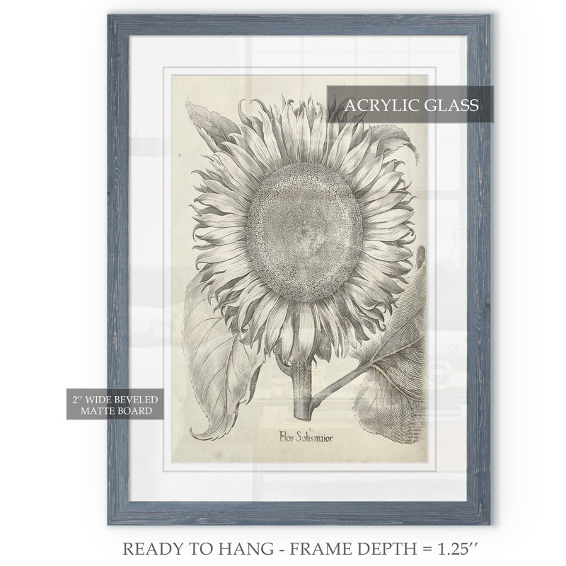 « fresco-tournesol i » par paul cezanne-reproduction d’art sur image, H 28 po x l 38 po x 1,25 po, Cadre en papier gris