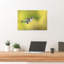 Hummingbird In Flight Delicate Vibrant Contemporary Hummingbird Bird Nature Wildlife Wall Art Print by Atul Saluja - Print-225981344