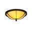 2 - Light Flush Mount