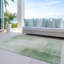 Tapis intérieur / extérieur Christain ACN1243-109531275