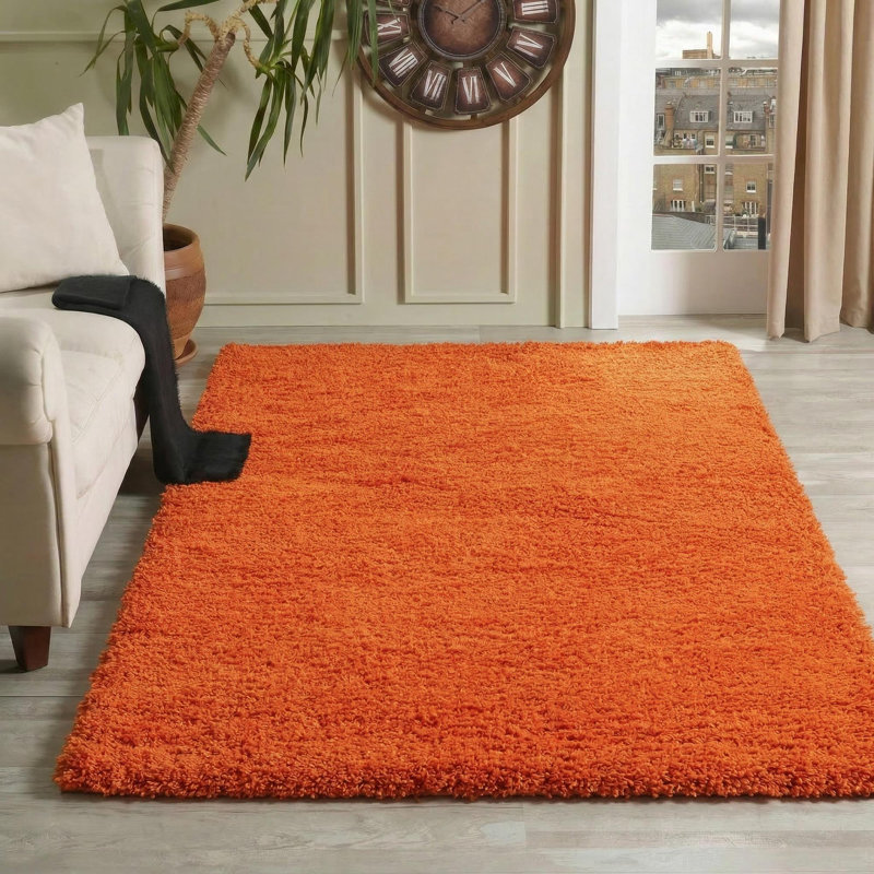 Esterly Orange Shaggy Rug, Rectangle 120 x 170cm