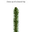 Arbre de Noël épinette verte avec lumières-88564392