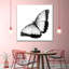 Papillon monochromatique sur toile-87241945