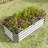 Verina 421Ft Silver Metal Raised Garden Bed For Planting Flowers, Herbs, And Vegetables - Rust Rectangle Planter Growing A Wide Range Of Plants,-121598624