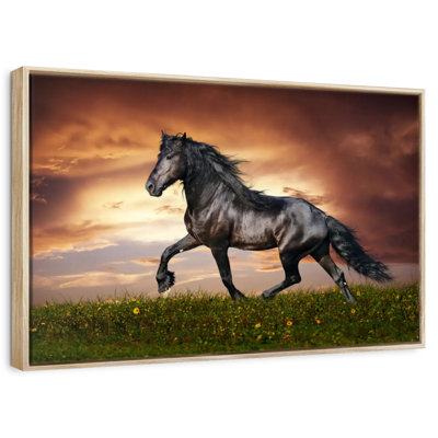 Cheval baroque
