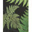 Schumacher x Clements Ribeiro Fernarium Fabric-30053661