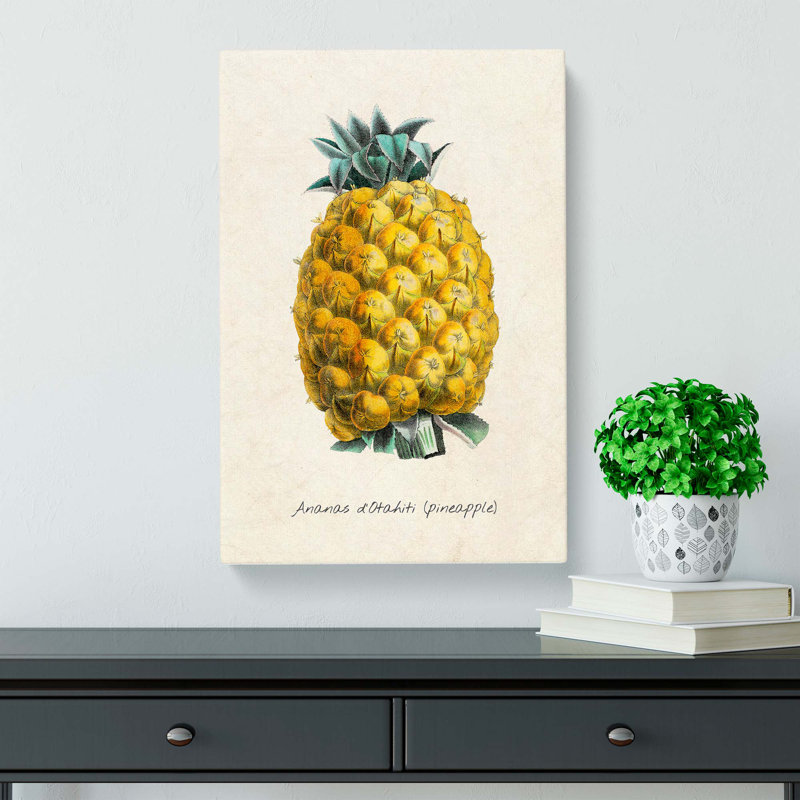 Illustration of a Pineapple - Wrapped Canvas, 50cm H x 35cm W x 3cm D