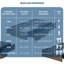 Structure de lit plateforme simple en bois TG, 2 tiroirs de rangement, support à lattes de bois, sans sommier, facile à assembler-746504752-746504757