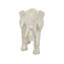 Accents indiens en strass indien