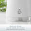Serenity Iron Canister - Set of 3-113753638