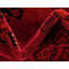 Tapis oriental rouge Amro-20398759