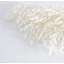 Plante grimpante 17 po Atalaya-1329839819-1329839818