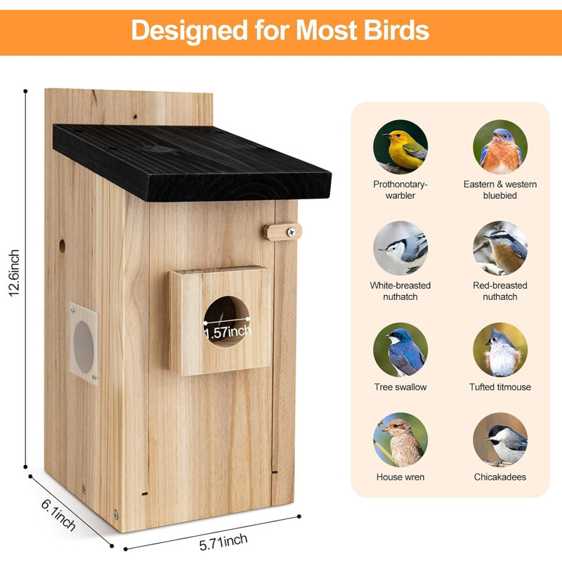  Smart Bird House & Feeder With 1080P HD Camera, AI Bird Species Identification, 2.4G Wi-Fi, Adjustable 1.5-Inch Focus Lens