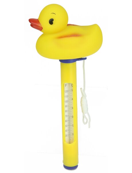 https://assets.wfcdn.com/im/3883437/resize-h600-w600%5Ecompr-r85/2999/29999147/9.5%22+Yellow+Duck+Floating+Swimming+Pool+Thermometer+with+Cord.jpg