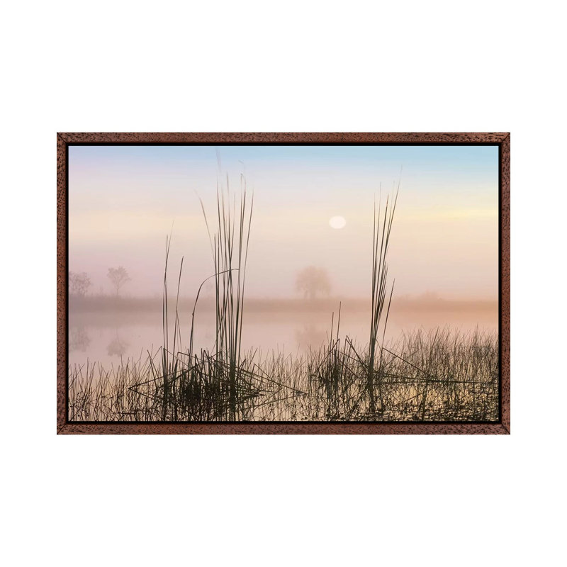Reeds In Sweet Bay Pond, Everglades National Park, Florida by Tim Fitzharris - Floater Frame Gallery-Wrapped Canvas Giclée on Canvas