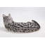 Statue de chat américain allongé